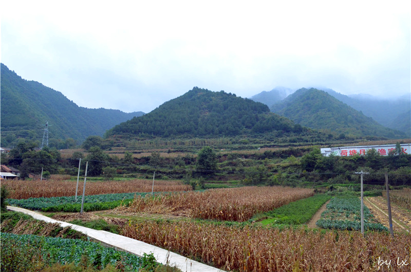 <h4>'DSC_0092_zpsd9845891' 4928 x 3264 | NIKON D5100 | 2013-09-28 09:46:10</h4>