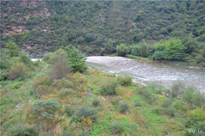 <h4>'DSC_0100_zpsd74f755a' 4928 x 3264 | NIKON D5100 | 2013-09-28 10:28:01</h4>