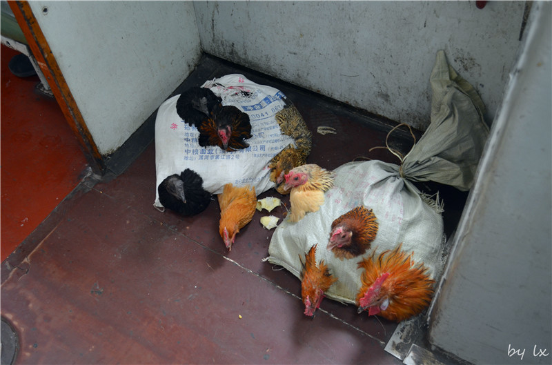 <h4>'DSC_0183_zpsc8a4bcb6' 4928 x 3264 | NIKON D5100 | 2013-09-28 16:05:04</h4>