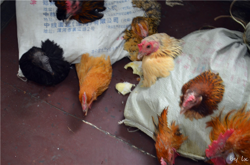 <h4>'DSC_0184_zpsa9cf15a0' 4928 x 3264 | NIKON D5100 | 2013-09-28 16:05:14</h4>