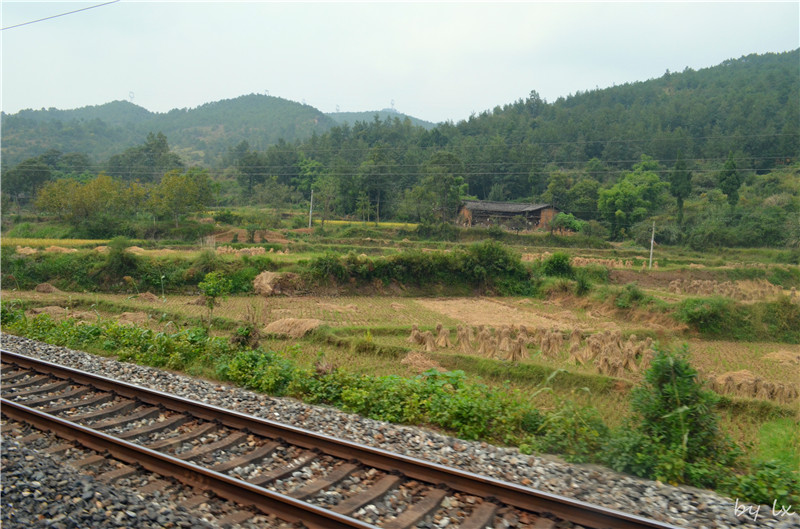 <h4>'DSC_0299_zpsdab9f0f0' 4928 x 3264 | NIKON D5100 | 2013-09-29 13:11:39</h4>