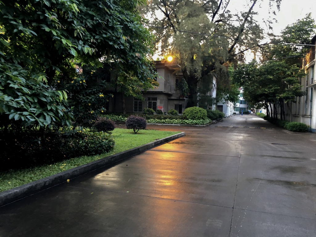 <h4>'44FB7FF8-C0F2-4950-B78B-6D33ABDD46BF_zpswdogsrdt' 4032 x 3024 | iPhone 6s | 2017-05-24 18:24:14</h4>