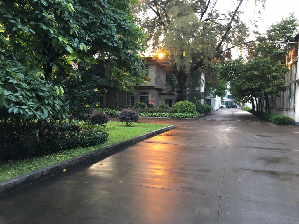 <h4>'52D5A82B-2DD0-46D8-A1D0-1DFE85208626_zps180rjl43' 4032 x 3024 | iPhone 6s | 2017-05-24 18:24:14</h4>