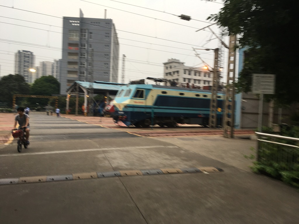 <h4>'FDFB0FE2-1EFD-496D-ACD0-A24290B562AA_zps4iqzyeiz' 4032 x 3024 | iPhone 6s | 2017-05-17 18:44:01</h4>