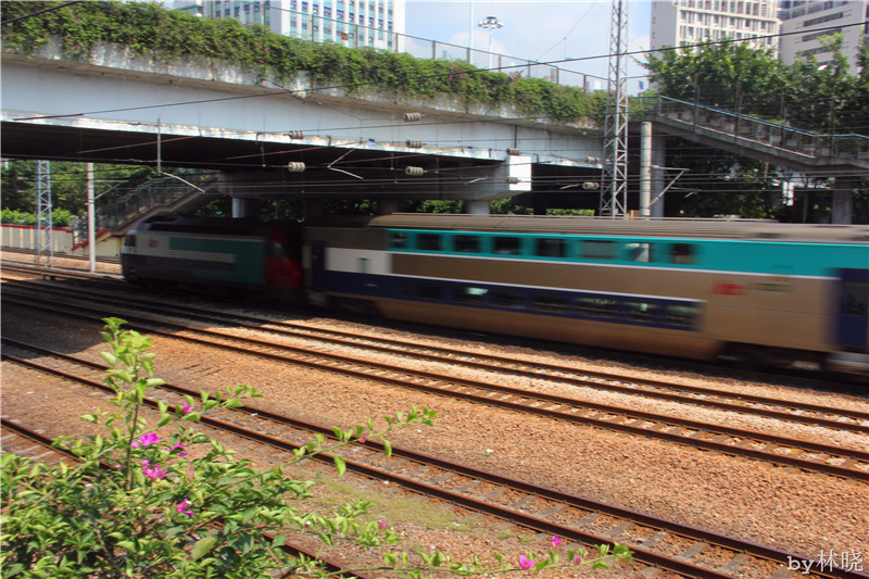 <h4>'IMG_2801_zpsb660c1af' 5184 x 3456 | Canon EOS 550D | 2013-08-11 10:19:02</h4>