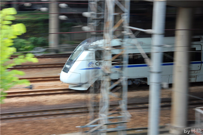 <h4>'IMG_2864_zpsf2aaf41d' 5184 x 3456 | Canon EOS 550D | 2013-08-11 11:44:45</h4>