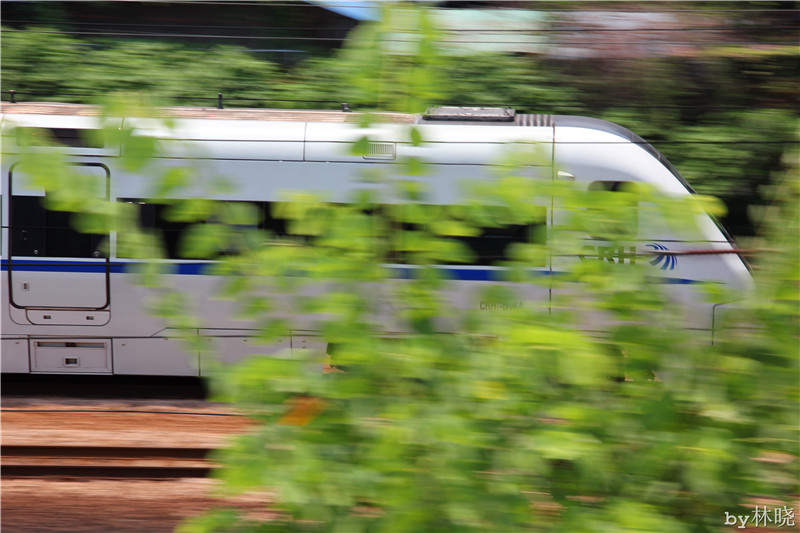 <h4>'IMG_2871_zps42f52965' 5184 x 3456 | Canon EOS 550D | 2013-08-11 11:47:26</h4>