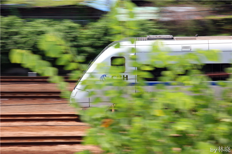 <h4>'IMG_2872_zpsc00aa8f5' 5184 x 3456 | Canon EOS 550D | 2013-08-11 11:47:34</h4>