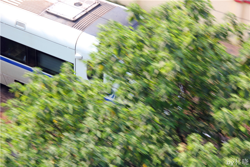 <h4>'IMG_2895_zps96b7e66a' 5184 x 3456 | Canon EOS 550D | 2013-08-11 16:12:41</h4>