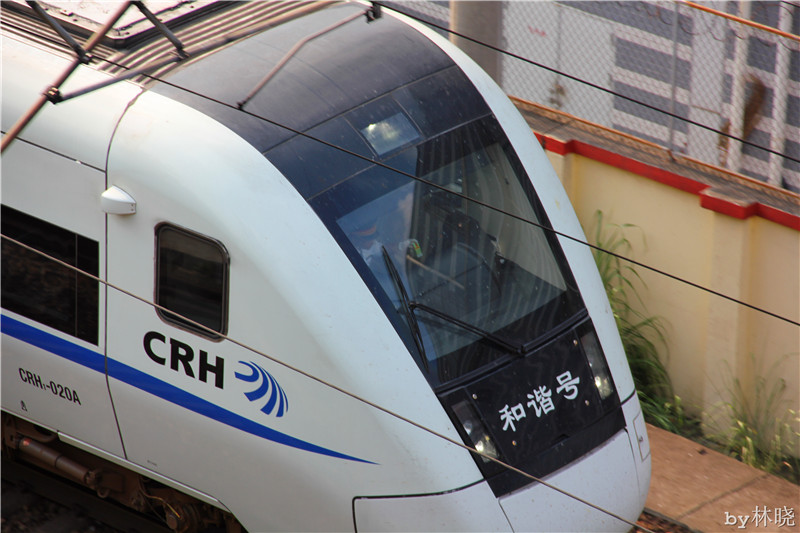 <h4>'IMG_2900_zpsb538a6a5' 5184 x 3456 | Canon EOS 550D | 2013-08-11 16:23:23</h4>