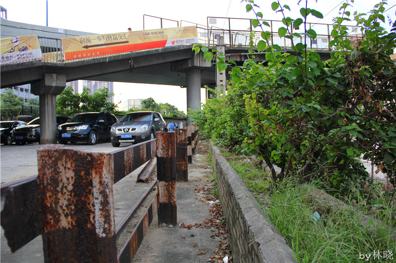 <h4>'IMG_2930_zpsa308bf9d' 5184 x 3456 | Canon EOS 550D | 2013-08-12 15:55:21</h4>