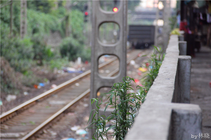 <h4>'IMG_2950_zps8f3b2f24' 5184 x 3456 | Canon EOS 550D | 2013-08-12 16:09:02</h4>