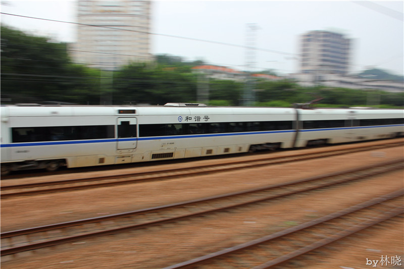 <h4>'IMG_3041_zps409c6a83' 5184 x 3456 | Canon EOS 550D | 2013-08-13 12:39:57</h4>