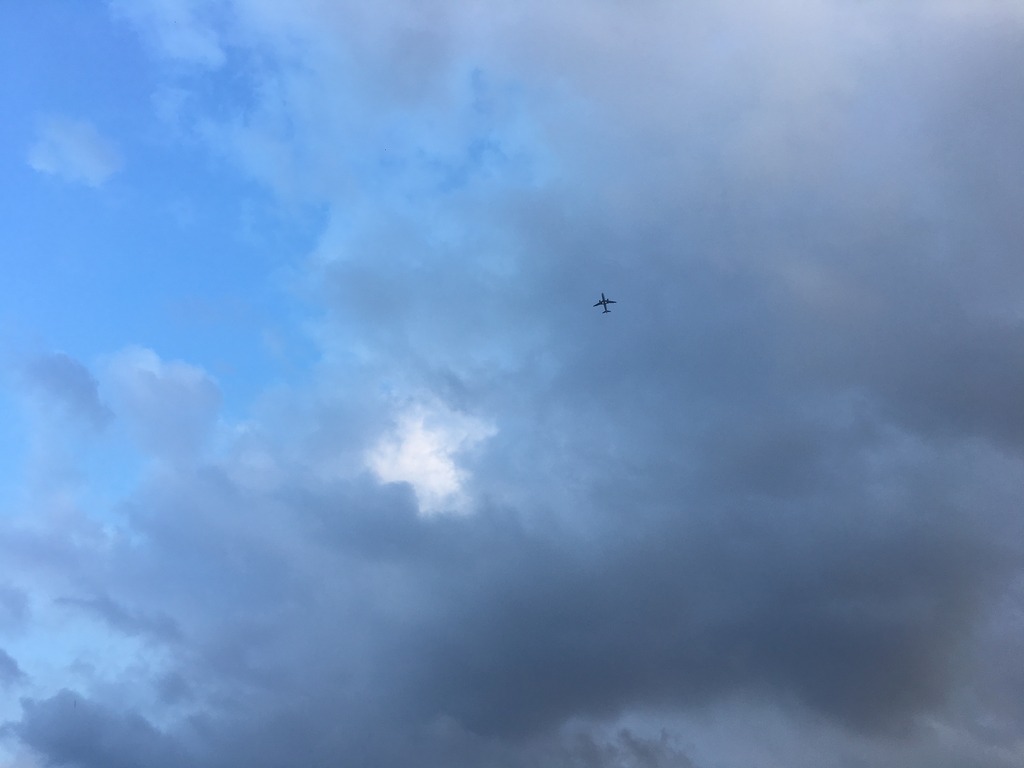 <h4>'IMG_3236_zps8nnvuhs8' 4032 x 3024 | iPhone 6s | 2017-06-05 18:22:13</h4>