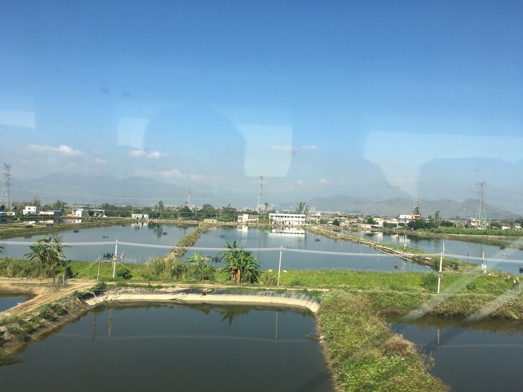 <h4>'IMG_2760_zpsbdh122e5' 4032 x 3024 | iPhone 6s | 2016-12-26 12:49:19</h4>