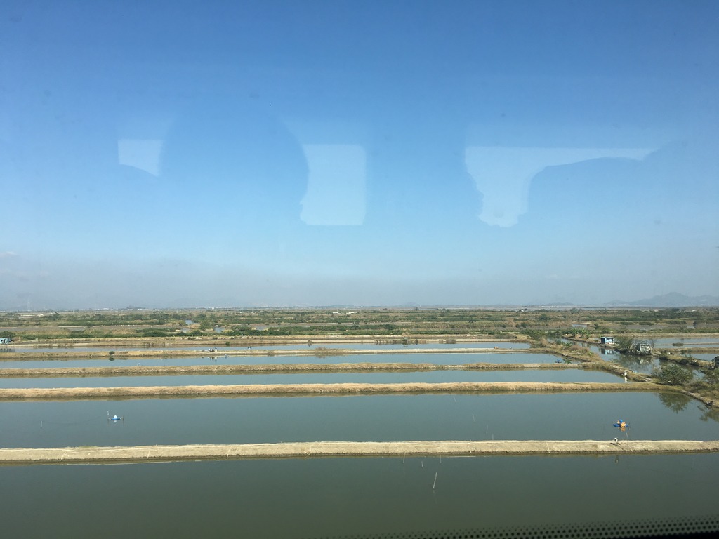 <h4>'IMG_2781_zpsbkxyb4lm' 4032 x 3024 | iPhone 6s | 2016-12-26 12:50:48</h4>