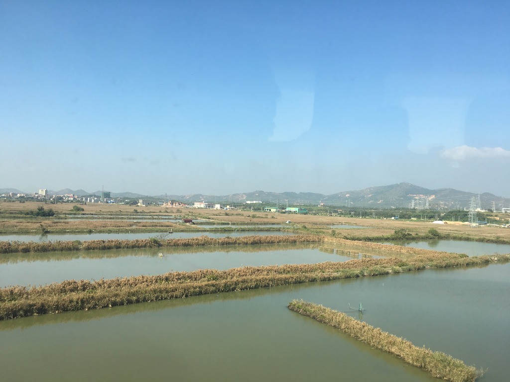 <h4>'IMG_2789_zps4q1c8z4t' 4032 x 3024 | iPhone 6s | 2016-12-26 13:05:39</h4>