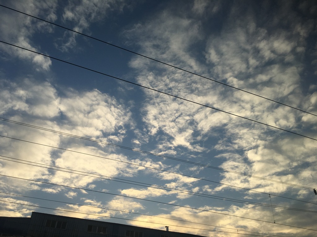 <h4>'IMG_2839_zpsl3f50t5r' 4032 x 3024 | iPhone 6s | 2016-12-29 16:55:38</h4>