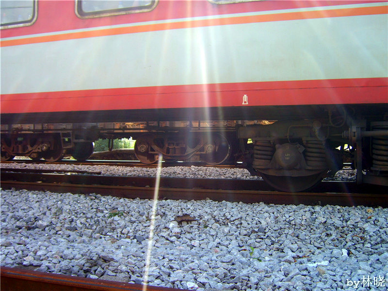 <h4>'STA52661_zps819b7569' 1600 x 1200 | Digimax A5 | 2013-08-08 12:30:50</h4>