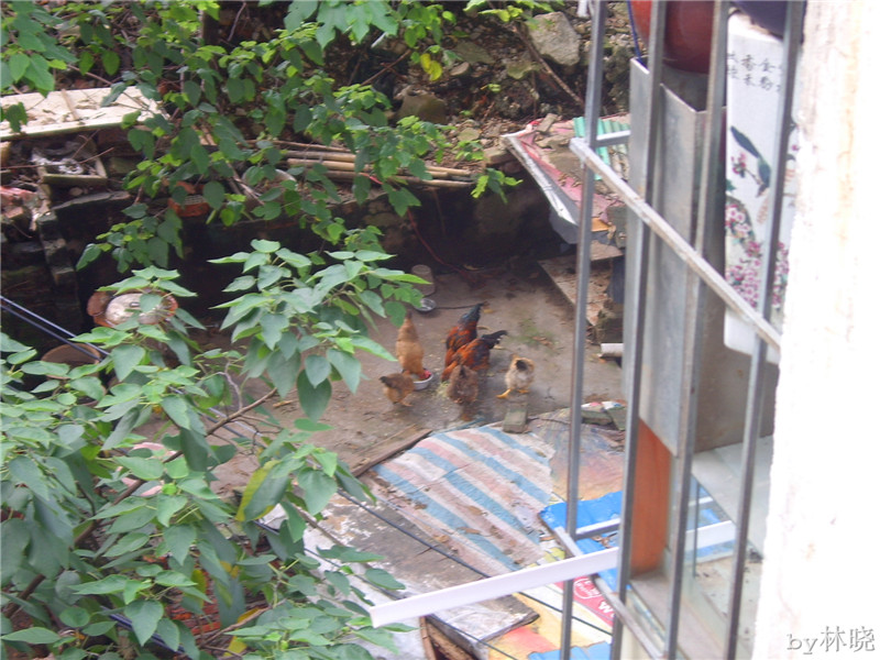 <h4>'STA52713_zpsc443973b' 1600 x 1200 | Digimax A5 | 2013-08-08 20:00:26</h4>