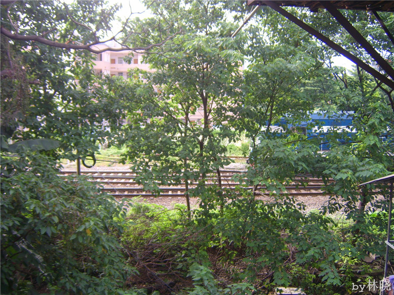 <h4>'STA52714_zps8246d3ed' 1600 x 1200 | Digimax A5 | 2013-08-08 20:01:06</h4>