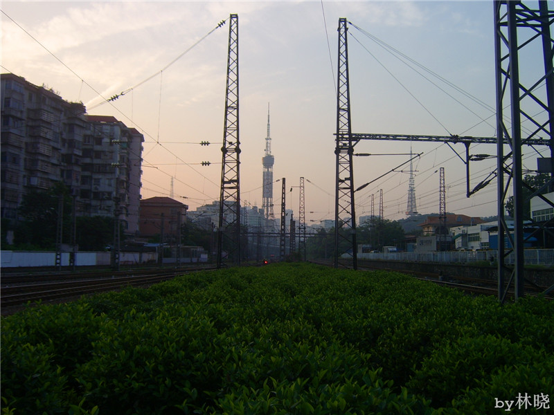 <h4>'STA52771_zpsc4f47fd4' 1600 x 1200 | Digimax A5 | 2013-08-09 09:55:58</h4>